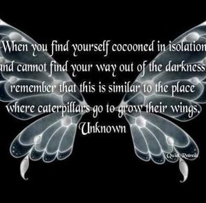 Meet your Posher, Tree